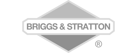 Briggs & Stratton