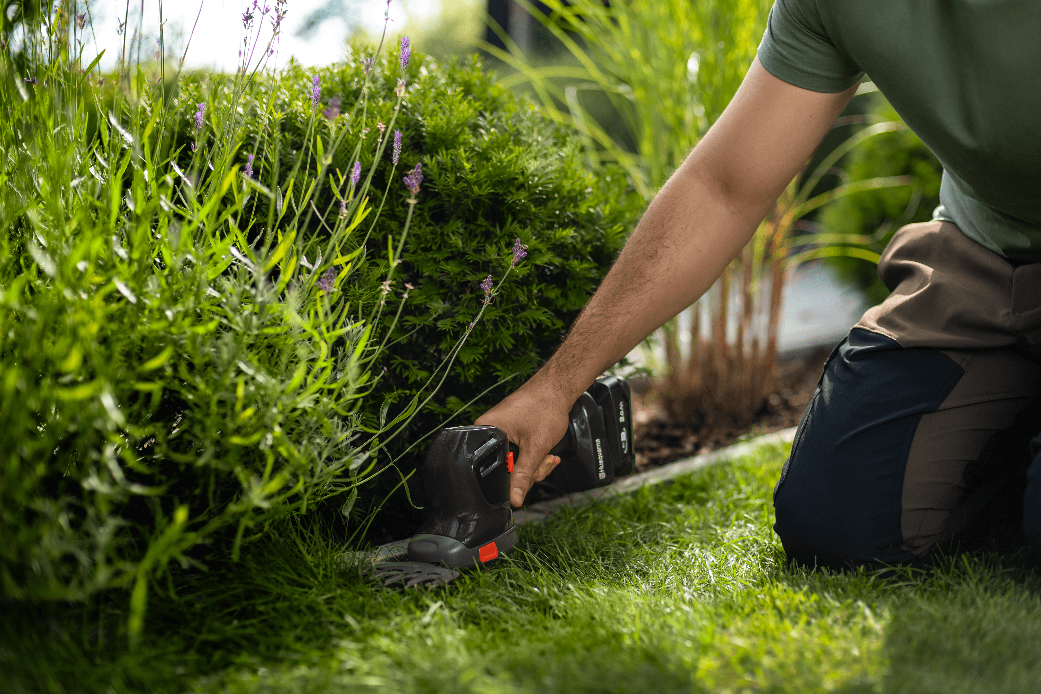 Aspire™ Shrub Shear 18V with battery and charger image 4