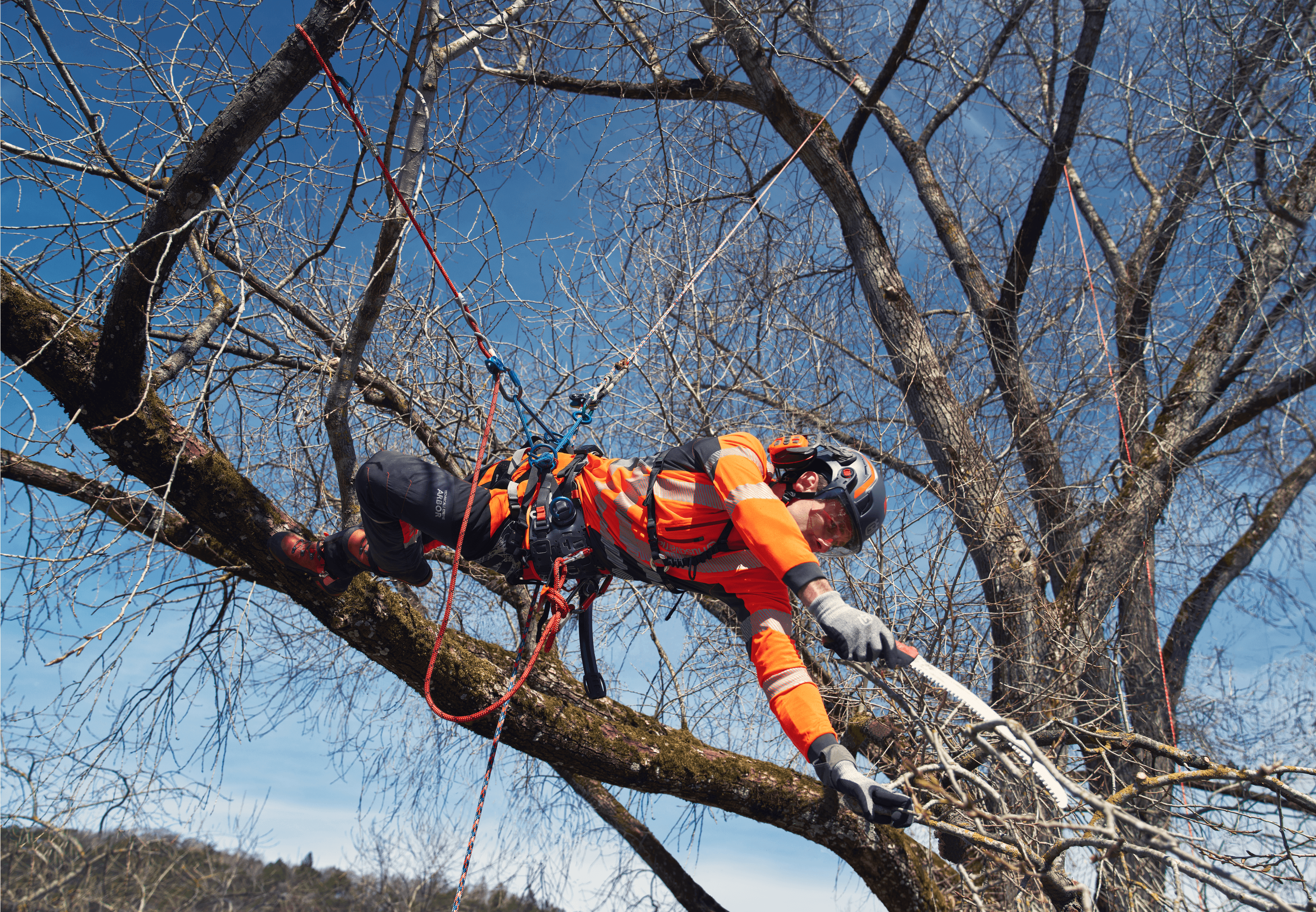 Climbing Harness image 3